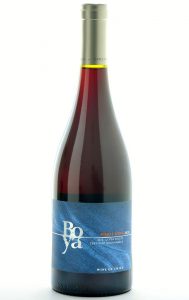 Boya Valle de Leyda Pinot Noir 2020 bottle
