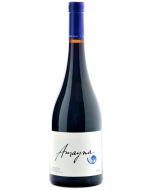 Amayna Leyda Valley Syrah 2021