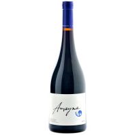 Amayna Leyda Valley Syrah 2021