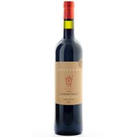 Antucura Barrandica Vista Flores Mendoza Cabernet Franc 2019