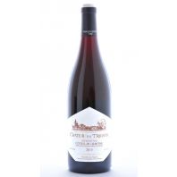 Château du Trignon Côtes-du-Rhône 2015