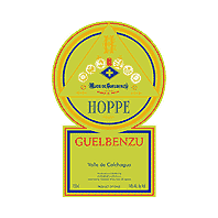 Guelbenzu Hoppe Valle de Colchagua 2003