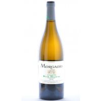 Morgadío Albariño Rías Baixas 2015