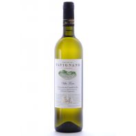 Tavignano “Villa Torre” Verdicchio dei Castelli di Jesi Classico Superiore 2012