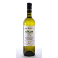 Tavignano “Villa Torre” Verdicchio dei Castelli di Jesi Classico Superiore 2013