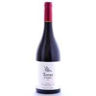 Terrer d'Aubert D.O. Tarragona Cabernet Sauvignon 2012